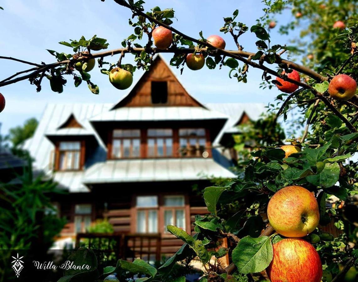 Willa Blanca Zakopane — Photos 1